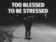 Wiz Khalifa - Too Blessed to Be Stressed