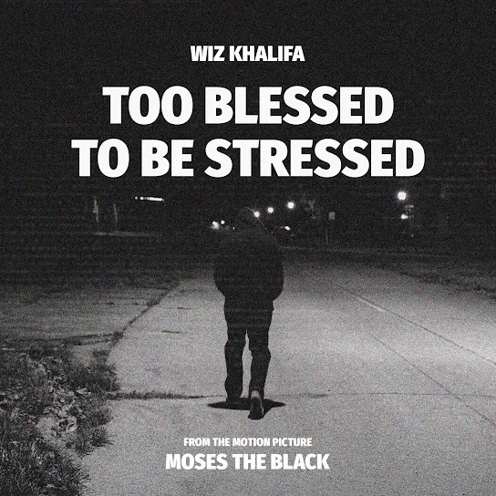 Wiz Khalifa - Too Blessed to Be Stressed