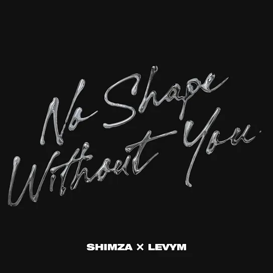 Shimza - No Shape Without You