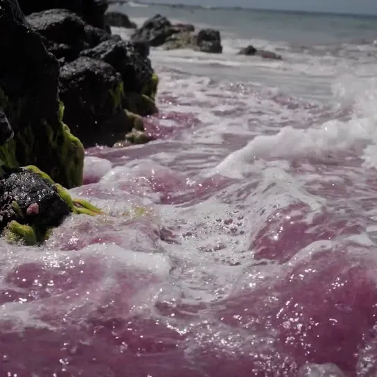 LUCKI - Not So Virgo of You