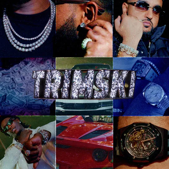 NAV - Trimski