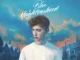 Troye Sivan - HEAVEN