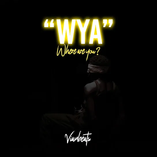 VIANBEATS - WHERE ARE YOU