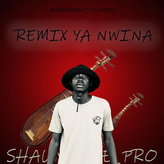 Shaun_The_Pro - Hemzii 2.0