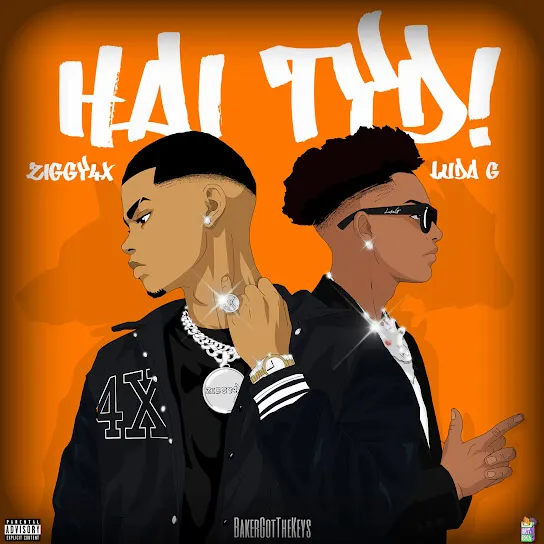 Ziggy4x - Hai Tyd