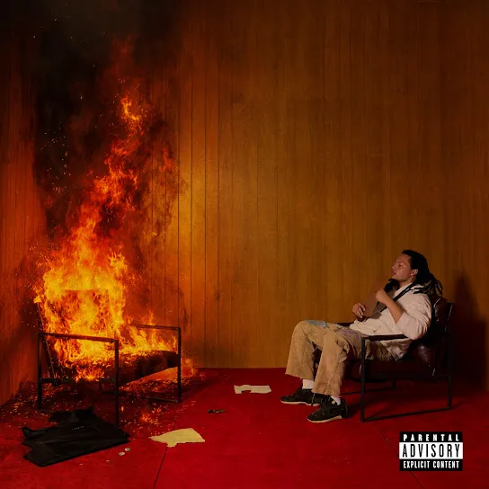 Domani - Shedding Skin