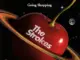 The Strokes - Going Shopping