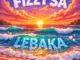 FIZZY SA - Lebaka