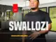 Swallozi - Lungihlukumezile Uthando